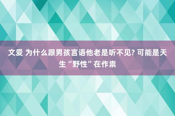 文爱 为什么跟男孩言语他老是听不见? 可能是天生“野性”在作祟