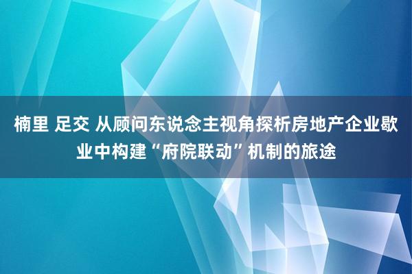 楠里 足交 从顾问东说念主视角探析房地产企业歇业中构建“府院联动”机制的旅途