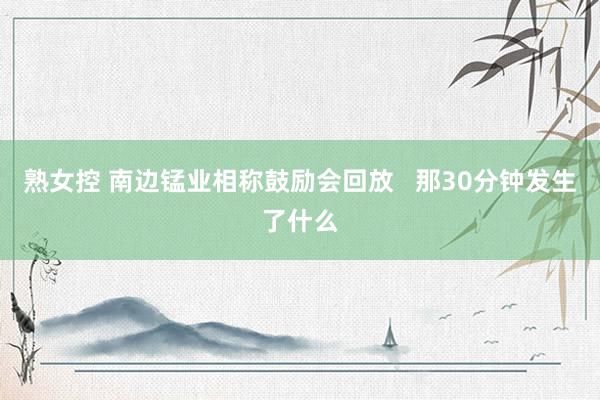 熟女控 南边锰业相称鼓励会回放   那30分钟发生了什么