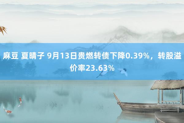 麻豆 夏晴子 9月13日贵燃转债下降0.39%，转股溢价率23.63%