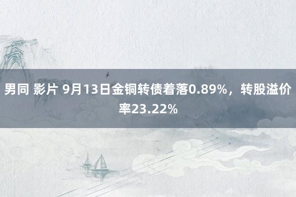 男同 影片 9月13日金铜转债着落0.89%，转股溢价率23.22%