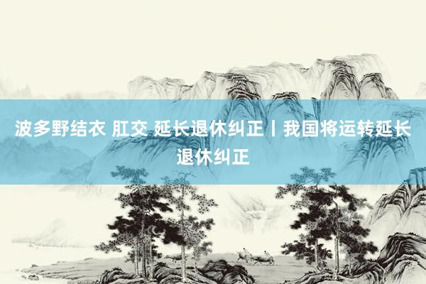 波多野结衣 肛交 延长退休纠正丨我国将运转延长退休纠正