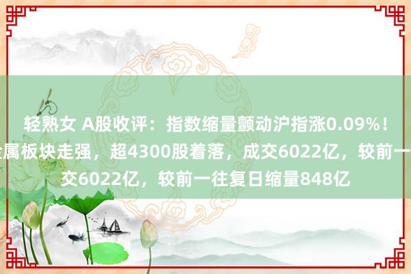 轻熟女 A股收评：指数缩量颤动沪指涨0.09%！猪肉、鸡肉及贵金属板块走强，超4300股着落，成交6022亿，较前一往复日缩量848亿