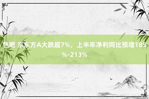 色吧 京东方A大跌超7%，上半年净利同比预增185%-213%