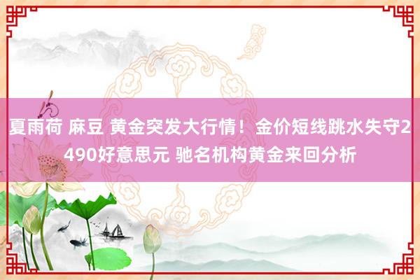 夏雨荷 麻豆 黄金突发大行情！金价短线跳水失守2490好意思元 驰名机构黄金来回分析