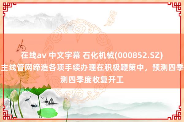 在线av 中文字幕 石化机械(000852.SZ)：国内油气主线管网缔造各项手续办理在积极鞭策中，预测四季度收复开工