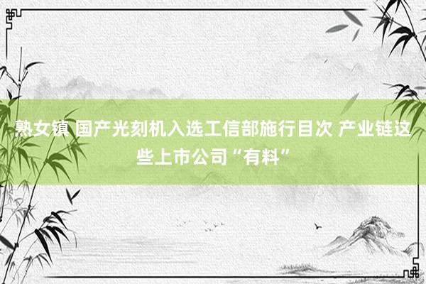 熟女镇 国产光刻机入选工信部施行目次 产业链这些上市公司“有料”