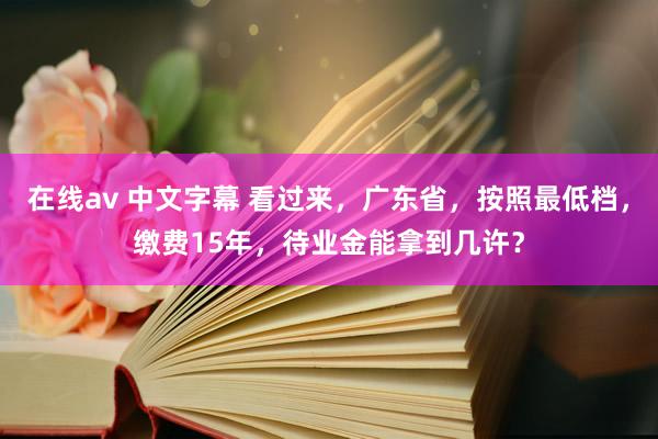 在线av 中文字幕 看过来，广东省，按照最低档，缴费15年，待业金能拿到几许？