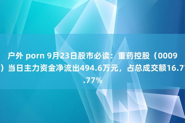 户外 porn 9月23日股市必读：重药控股（000950）当日主力资金净流出494.6万元，占总成交额16.77%