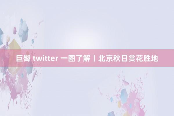 巨臀 twitter 一图了解丨北京秋日赏花胜地