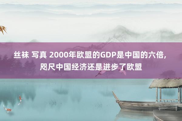 丝袜 写真 2000年欧盟的GDP是中国的六倍, 咫尺中国经济还是进步了欧盟