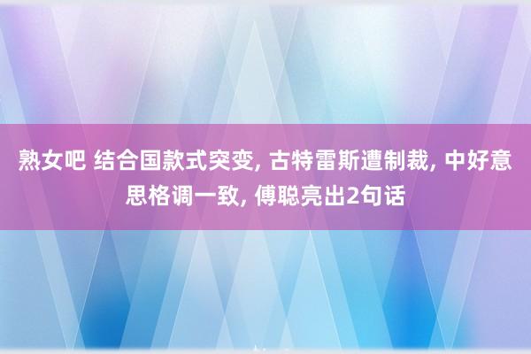 熟女吧 结合国款式突变, 古特雷斯遭制裁, 中好意思格调一致, 傅聪亮出2句话