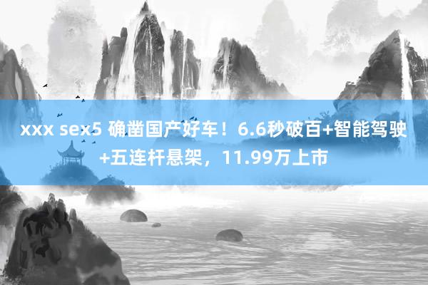 xxx sex5 确凿国产好车！6.6秒破百+智能驾驶+五连杆悬架，11.99万上市