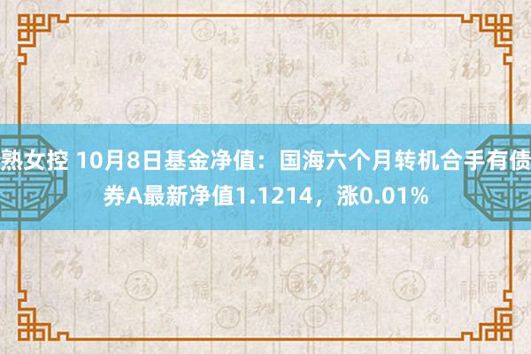 熟女控 10月8日基金净值：国海六个月转机合手有债券A最新净值1.1214，涨0.01%