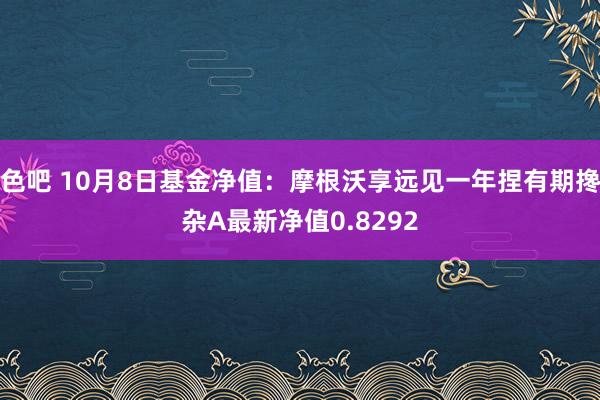 色吧 10月8日基金净值：摩根沃享远见一年捏有期搀杂A最新净值0.8292