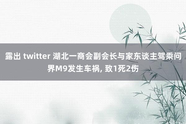 露出 twitter 湖北一商会副会长与家东谈主驾乘问界M9发生车祸, 致1死2伤