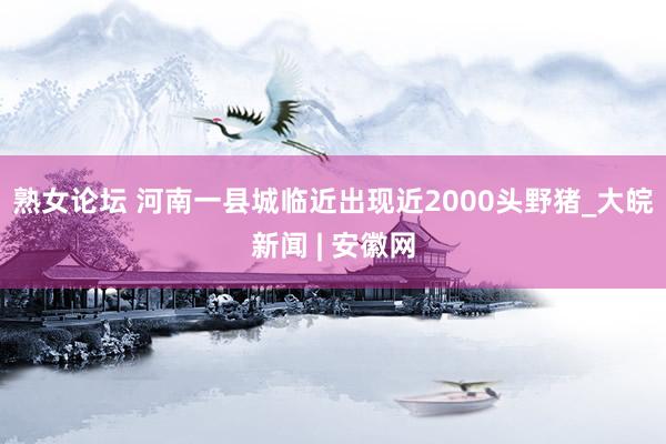 熟女论坛 河南一县城临近出现近2000头野猪_大皖新闻 | 安徽网