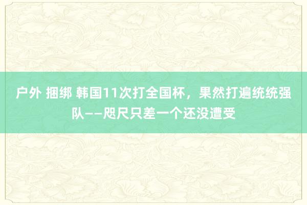 户外 捆绑 韩国11次打全国杯，果然打遍统统强队——咫尺只差一个还没遭受