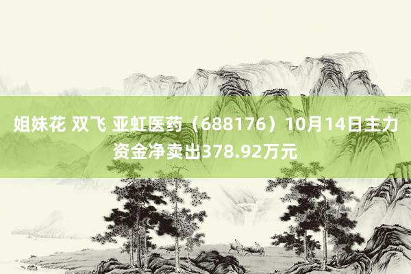 姐妹花 双飞 亚虹医药（688176）10月14日主力资金净卖出378.92万元