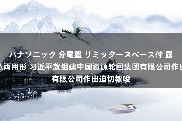 パナソニック 分電盤 リミッタースペース付 露出・半埋込両用形 习近平就组建中国资源轮回集团有限公司作出迫切教唆