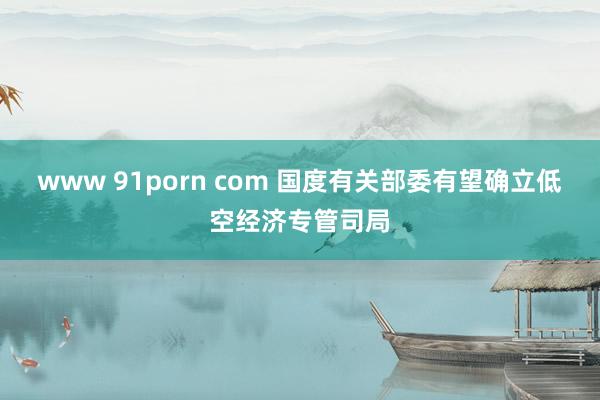 www 91porn com 国度有关部委有望确立低空经济专管司局