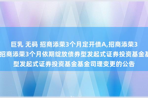 巨乳 无码 招商添荣3个月定开债A,招商添荣3个月定开债C: 对于招商添荣3个月依期绽放债券型发起式证券投资基金基金司理变更的公告