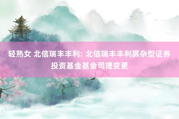 轻熟女 北信瑞丰丰利: 北信瑞丰丰利羼杂型证券投资基金基金司理变更