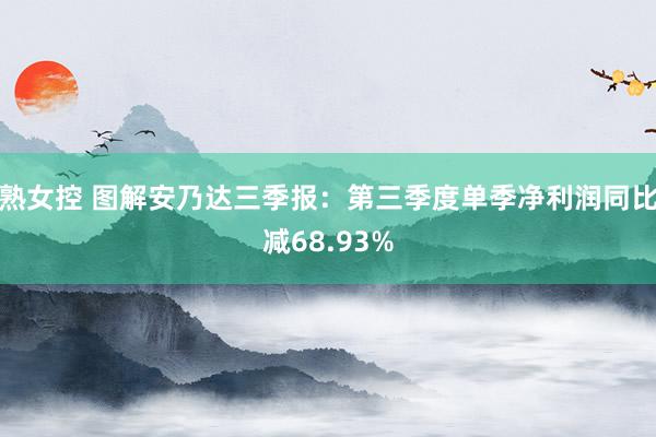 熟女控 图解安乃达三季报：第三季度单季净利润同比减68.93%