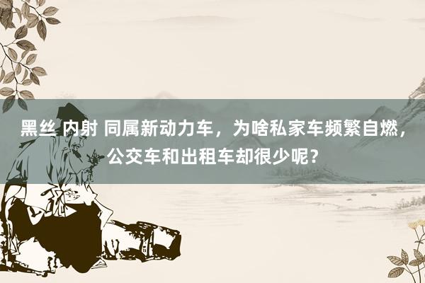 黑丝 内射 同属新动力车，为啥私家车频繁自燃，公交车和出租车却很少呢？