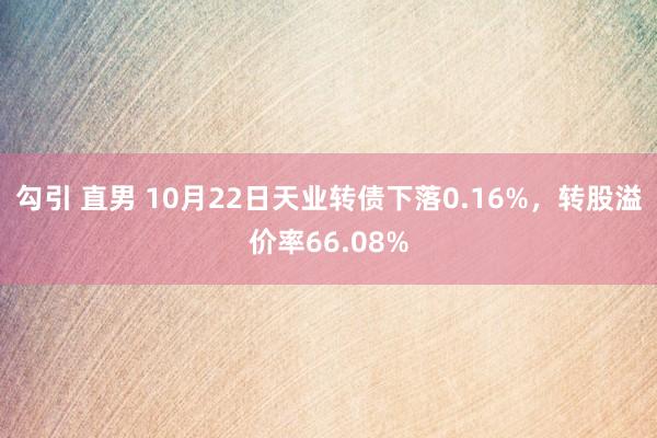 勾引 直男 10月22日天业转债下落0.16%，转股溢价率66.08%