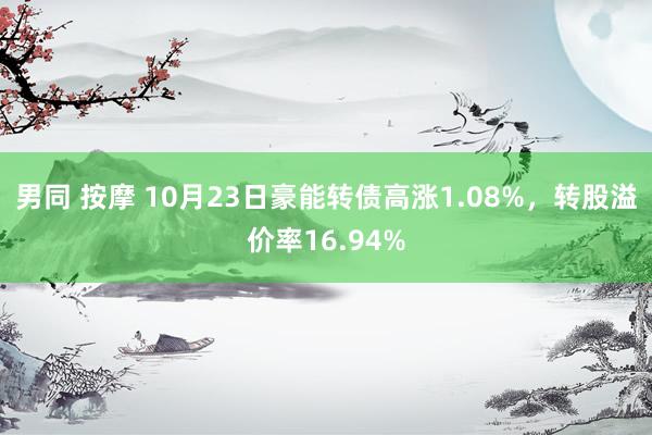 男同 按摩 10月23日豪能转债高涨1.08%，转股溢价率16.94%