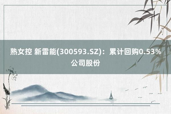 熟女控 新雷能(300593.SZ)：累计回购0.53%公司股份