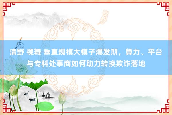 清野 裸舞 垂直规模大模子爆发期，算力、平台与专科处事商如何助力转换欺诈落地