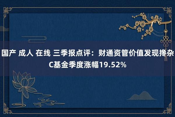 国产 成人 在线 三季报点评：财通资管价值发现搀杂C基金季度涨幅19.52%