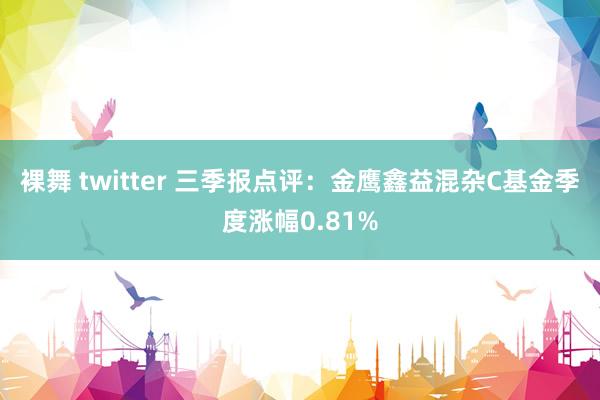 裸舞 twitter 三季报点评：金鹰鑫益混杂C基金季度涨幅0.81%