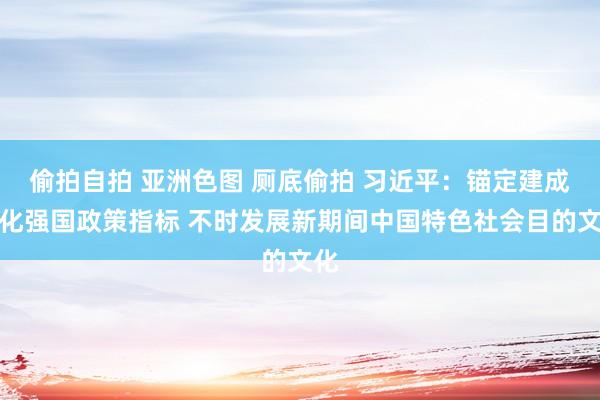 偷拍自拍 亚洲色图 厕底偷拍 习近平：锚定建成文化强国政策指标 不时发展新期间中国特色社会目的文化