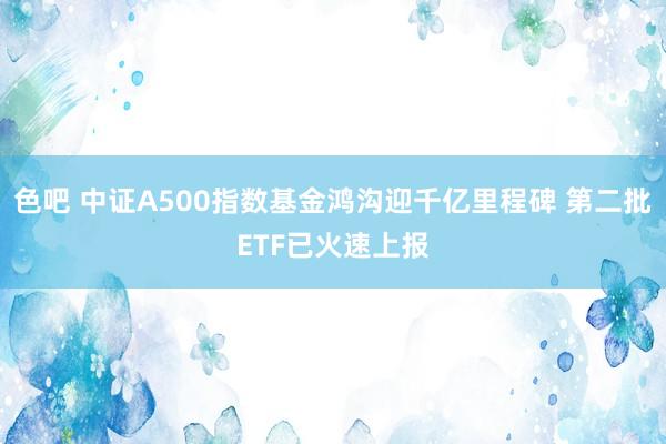 色吧 中证A500指数基金鸿沟迎千亿里程碑 第二批ETF已火速上报