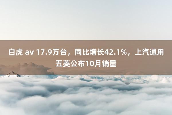 白虎 av 17.9万台，同比增长42.1%，上汽通用五菱公布10月销量