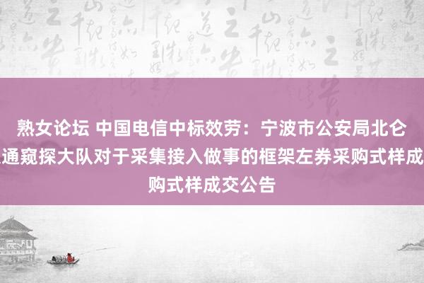 熟女论坛 中国电信中标效劳：宁波市公安局北仑分局交通窥探大队对于采集接入做事的框架左券采购式样成交公告