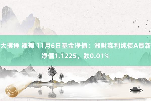 大摆锤 裸舞 11月6日基金净值：湘财鑫利纯债A最新净值1.1225，跌0.01%