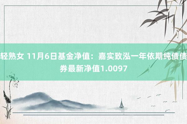 轻熟女 11月6日基金净值：嘉实致泓一年依期纯债债券最新净值1.0097