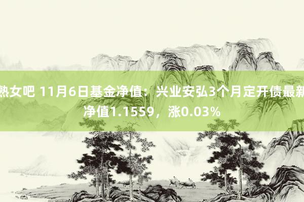 熟女吧 11月6日基金净值：兴业安弘3个月定开债最新净值1.1559，涨0.03%