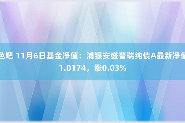 色吧 11月6日基金净值：浦银安盛普瑞纯债A最新净值1.0174，涨0.03%