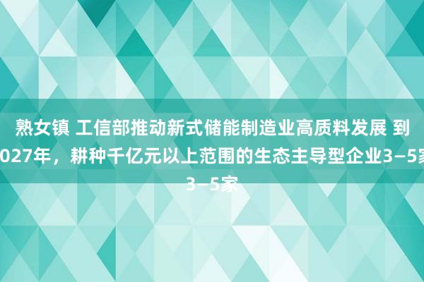 熟女镇 工信部推动新式储能制造业高质料发展 到2027年，耕种千亿元以上范围的生态主导型企业3—5家