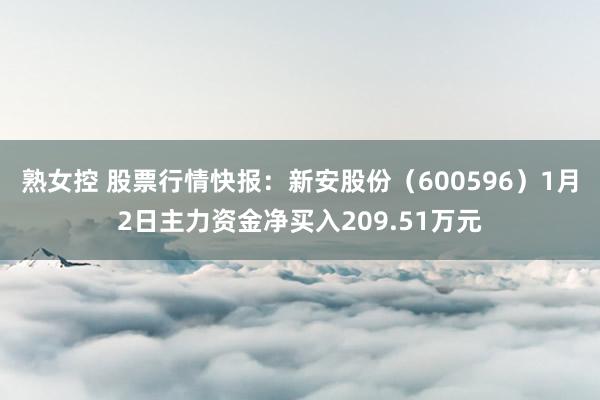 熟女控 股票行情快报：新安股份（600596）1月2日主力资金净买入209.51万元