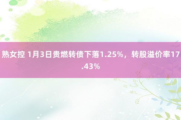 熟女控 1月3日贵燃转债下落1.25%，转股溢价率17.43%