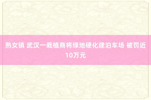 熟女镇 武汉一栽植商将绿地硬化建泊车场 被罚近10万元