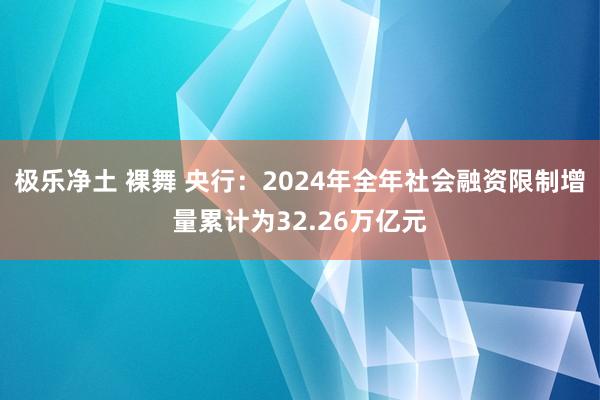 极乐净土 裸舞 央行：2024年全年社会融资限制增量累计为32.26万亿元