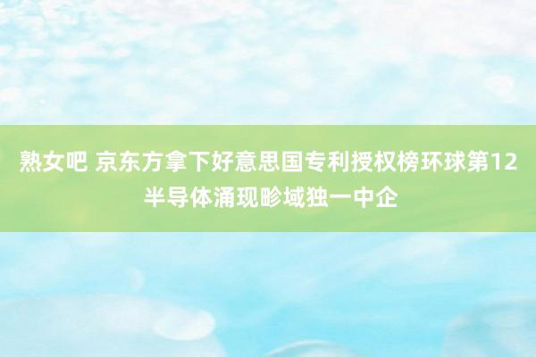 熟女吧 京东方拿下好意思国专利授权榜环球第12 半导体涌现畛域独一中企